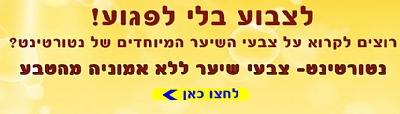 באנר צבע לשיער ללא אמוניה